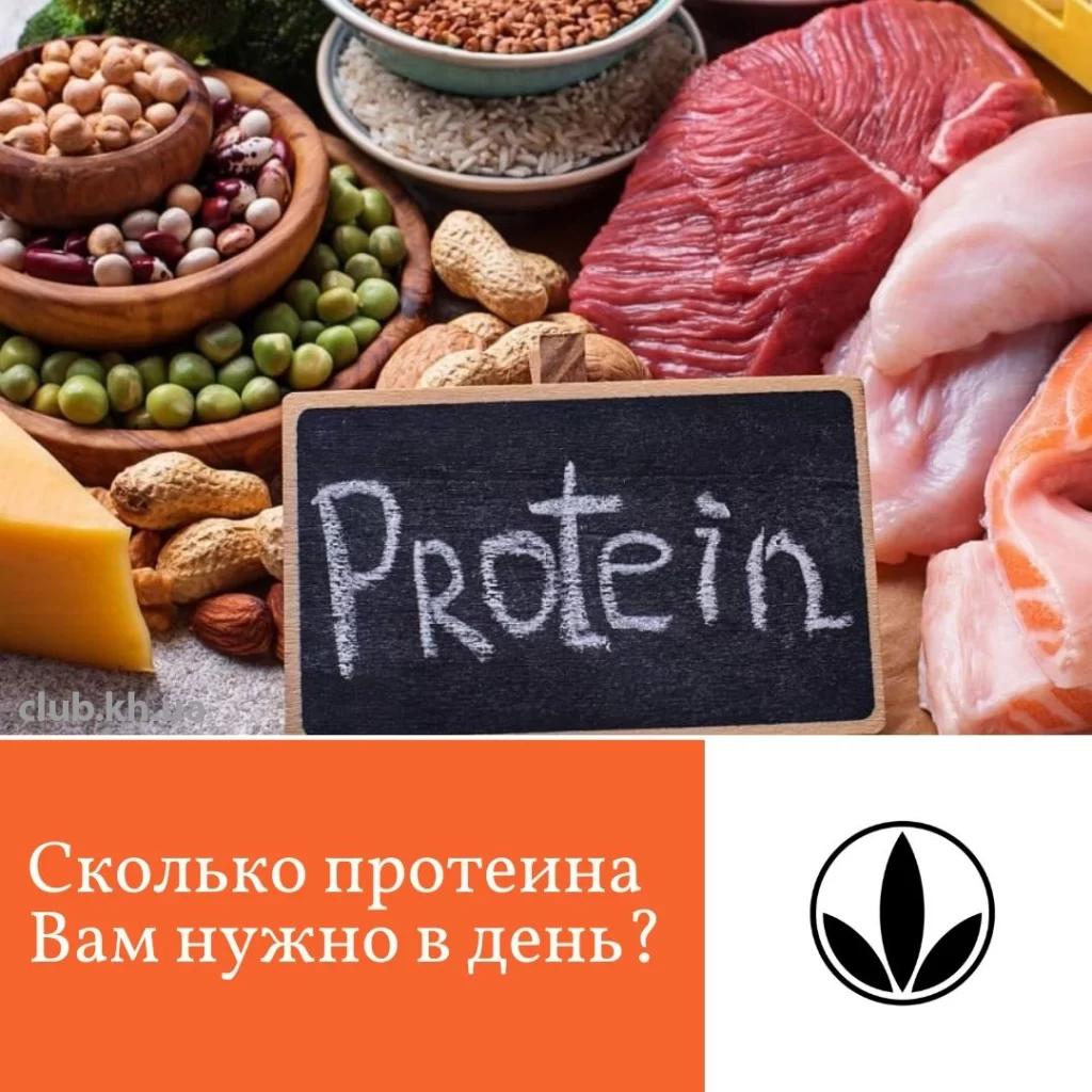 Сколько протеина Вам нужно в день?